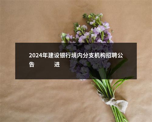 2024年建设银行境内分支机构招聘公告                进入阅读模式 图片
