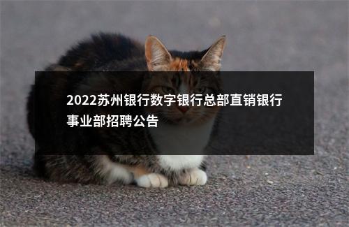 2022苏州银行数字银行总部直销银行事业部招聘公告                进入阅读模式 图片