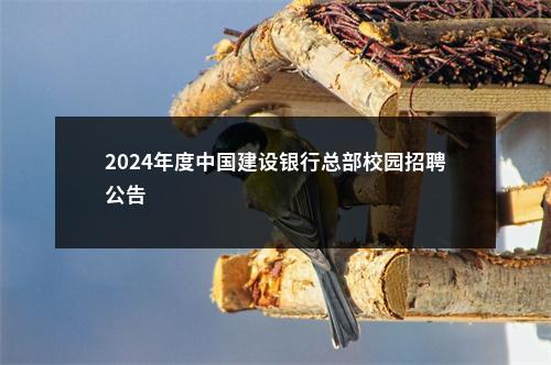 2024年度中国建设银行总部校园招聘公告                进入阅读模式 图片